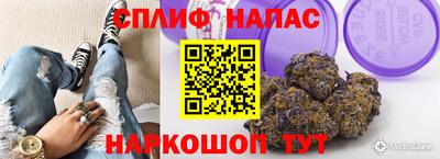 ГАЛЛЮЦИНОГЕННЫЕ ГРИБЫ Усть-Джегута