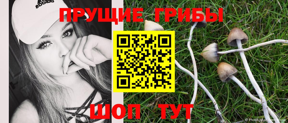 Галлюциногенные грибы мицелий  Вход с VPN  Родники  Галлюциногенные грибы мицелий 